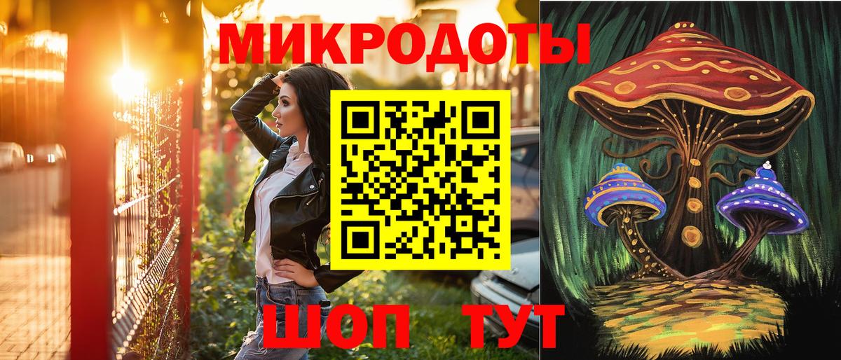 Новосибирск  Псилоцибиновые грибы Psilocybe  Вход с VPN 