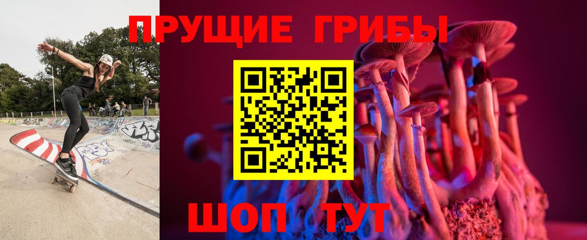 Псилоцибиновые грибы Cubensis Новосибирск